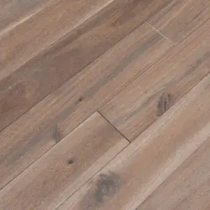 Remains Collection Fossil