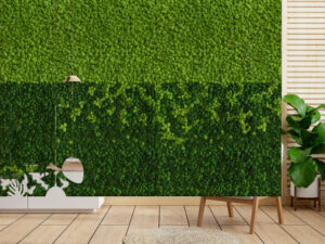 Riva Moss Walls