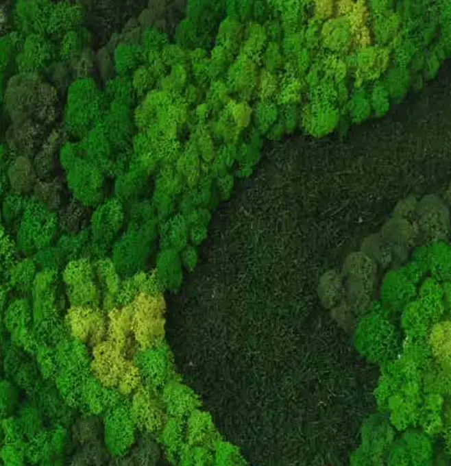 Riva Ball Lichen Mood Moss