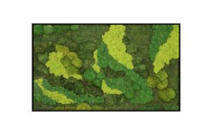 Riva Moss Framed Amazonia Forest Rectangle