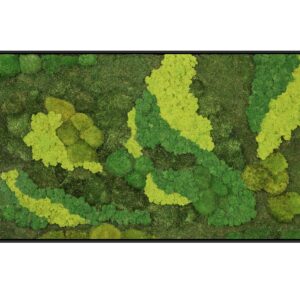 Riva Moss Framed Amazonia Forest Rectangle