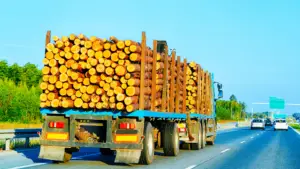 Tariffs on Canadian Lumber