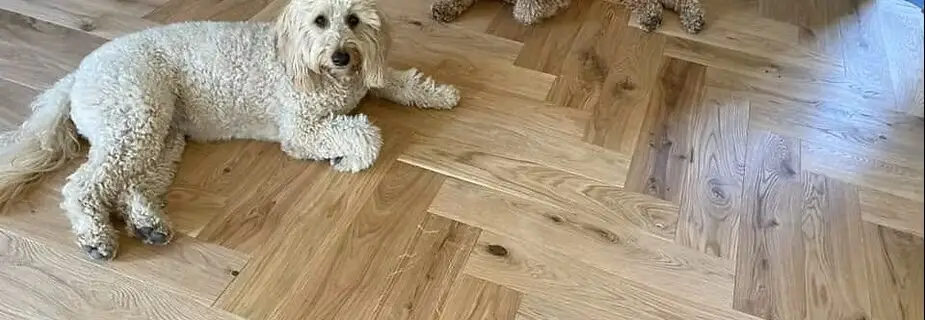Unique Wood Floors Pets